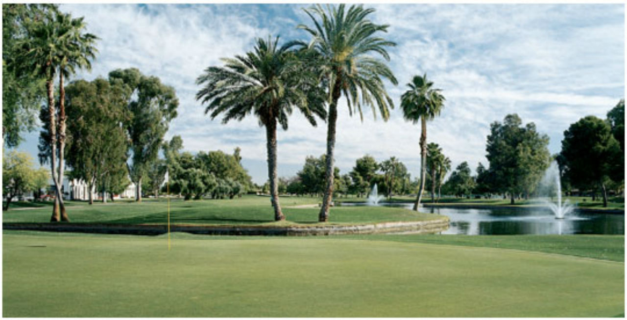 Orange Tree Resort Φοίνιξ Εξωτερικό φωτογραφία